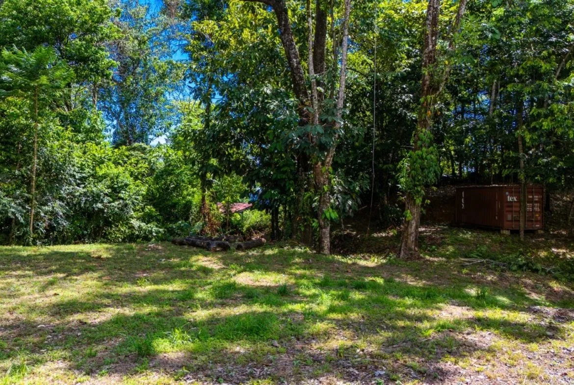 BUILDING PROPERTY WITH PARTIAL OCEAN VIEWS, IN LAS BRISAS LA COLONIA – 4.94 ACRES, photo 2