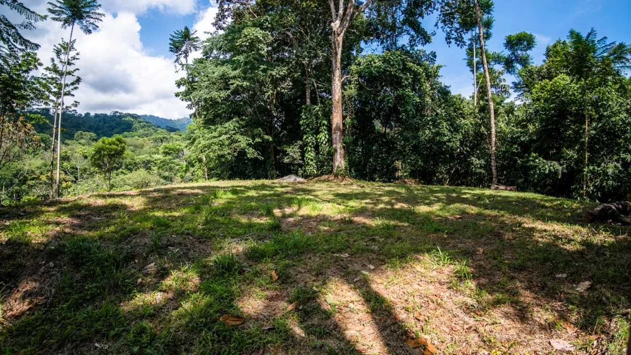 BUILDING PROPERTY WITH PARTIAL OCEAN VIEWS, IN LAS BRISAS LA COLONIA – 4.94 ACRES, photo 11
