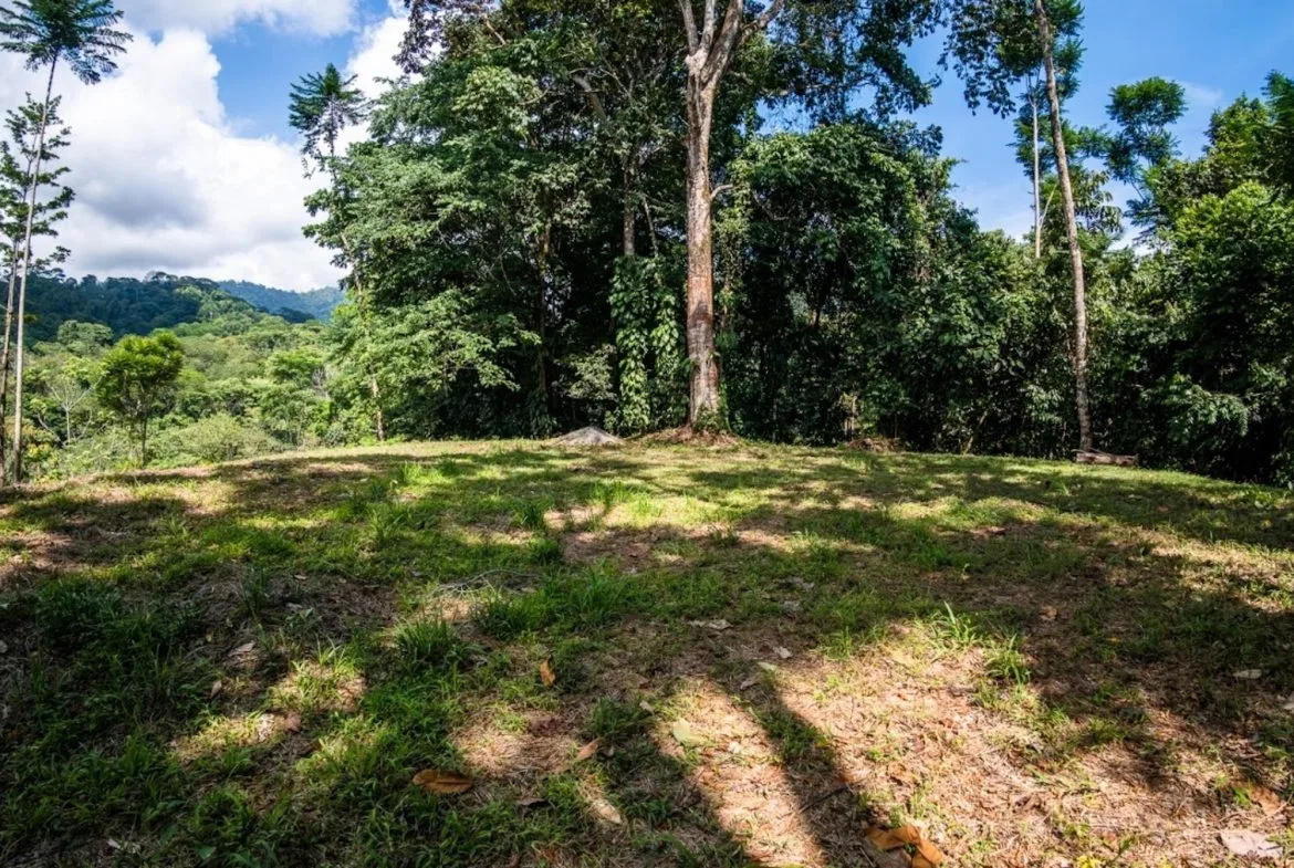 BUILDING PROPERTY WITH PARTIAL OCEAN VIEWS, IN LAS BRISAS LA COLONIA – 4.94 ACRES, photo 12