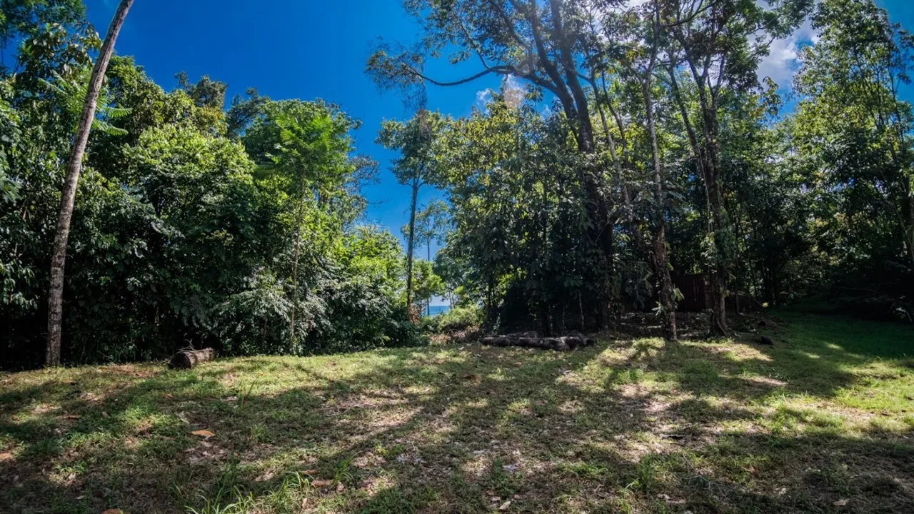 BUILDING PROPERTY WITH PARTIAL OCEAN VIEWS, IN LAS BRISAS LA COLONIA – 4.94 ACRES, photo 13