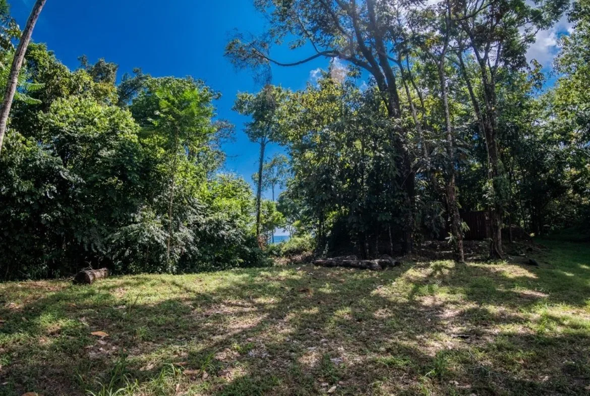 BUILDING PROPERTY WITH PARTIAL OCEAN VIEWS, IN LAS BRISAS LA COLONIA – 4.94 ACRES, photo 14