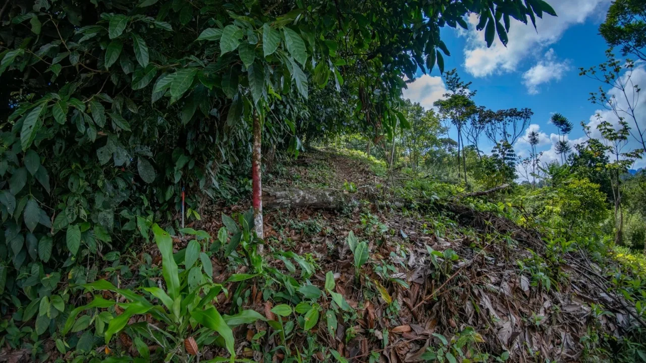 BUILDING PROPERTY WITH PARTIAL OCEAN VIEWS, IN LAS BRISAS LA COLONIA – 4.94 ACRES, photo 17