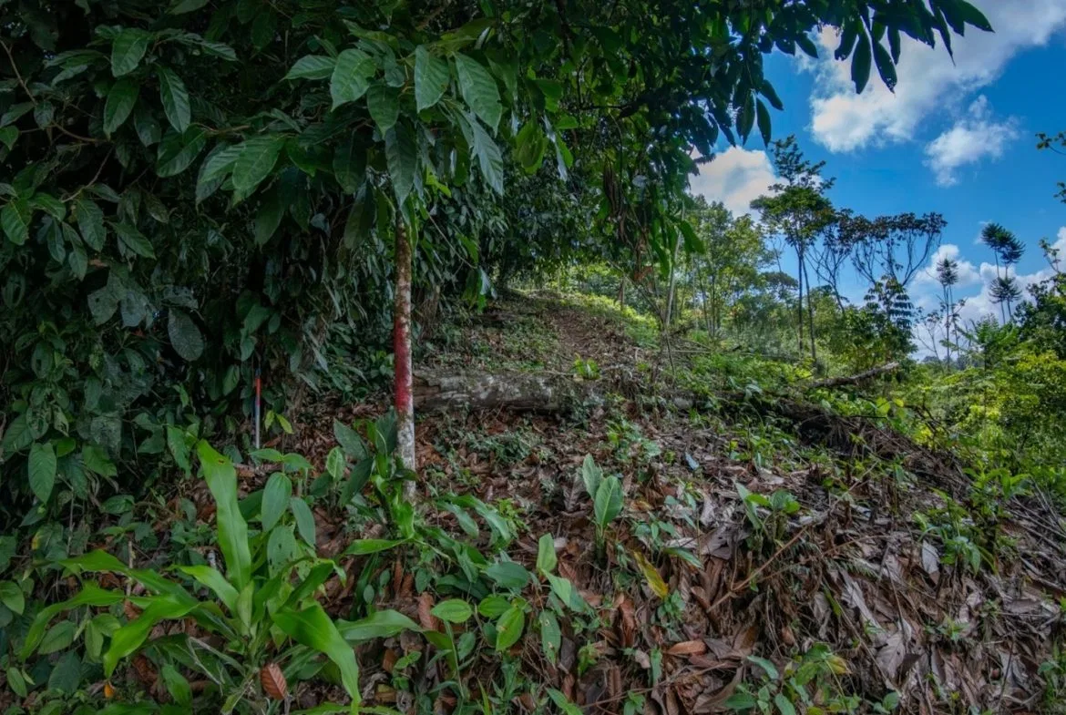 BUILDING PROPERTY WITH PARTIAL OCEAN VIEWS, IN LAS BRISAS LA COLONIA – 4.94 ACRES, photo 18