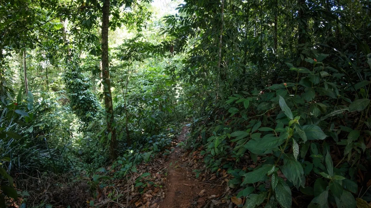 BUILDING PROPERTY WITH PARTIAL OCEAN VIEWS, IN LAS BRISAS LA COLONIA – 4.94 ACRES, photo 21