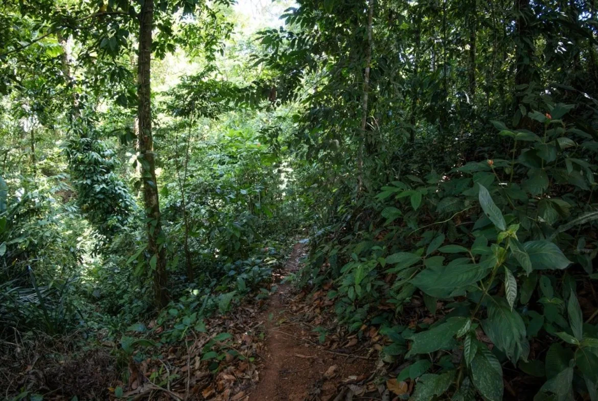 BUILDING PROPERTY WITH PARTIAL OCEAN VIEWS, IN LAS BRISAS LA COLONIA – 4.94 ACRES, photo 22