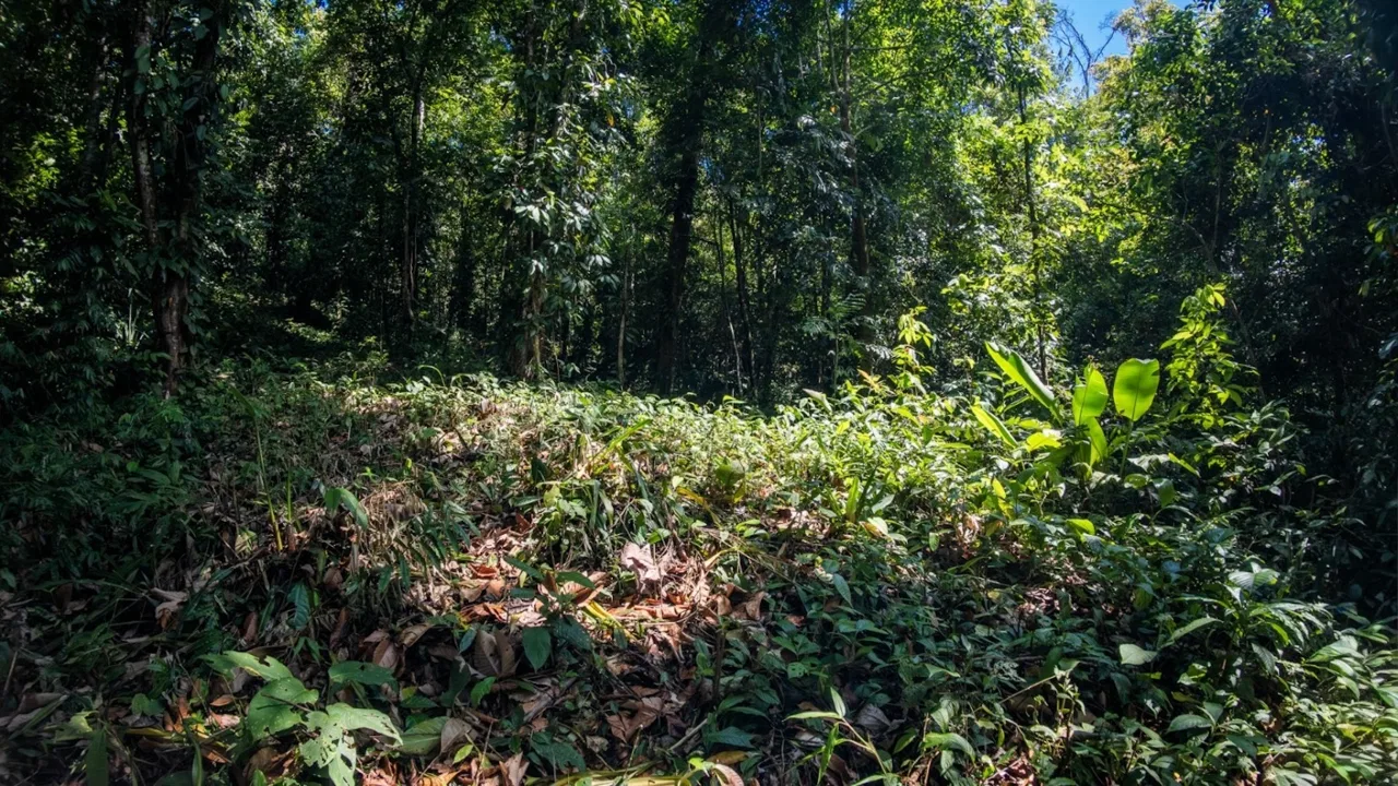 BUILDING PROPERTY WITH PARTIAL OCEAN VIEWS, IN LAS BRISAS LA COLONIA – 4.94 ACRES, photo 23