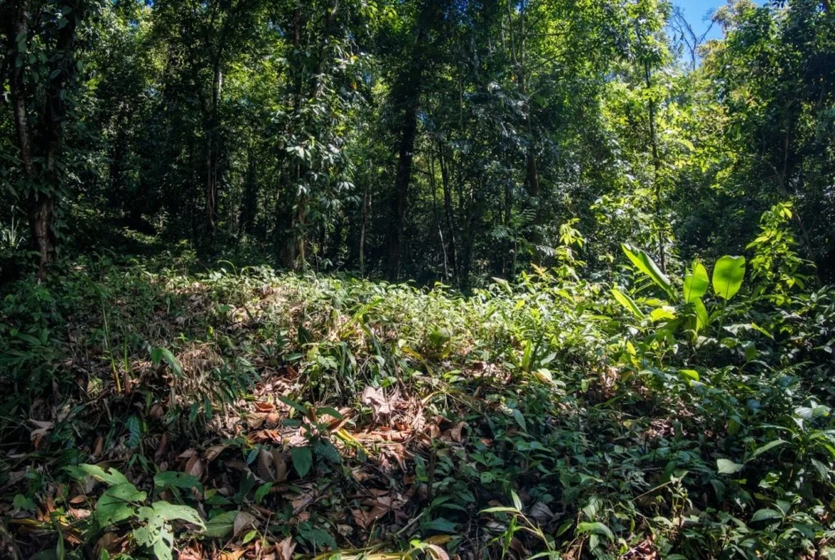 BUILDING PROPERTY WITH PARTIAL OCEAN VIEWS, IN LAS BRISAS LA COLONIA – 4.94 ACRES, photo 24
