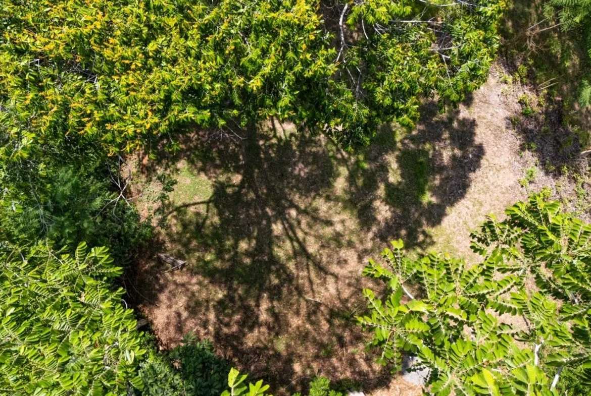 BUILDING PROPERTY WITH PARTIAL OCEAN VIEWS, IN LAS BRISAS LA COLONIA – 4.94 ACRES, photo 4