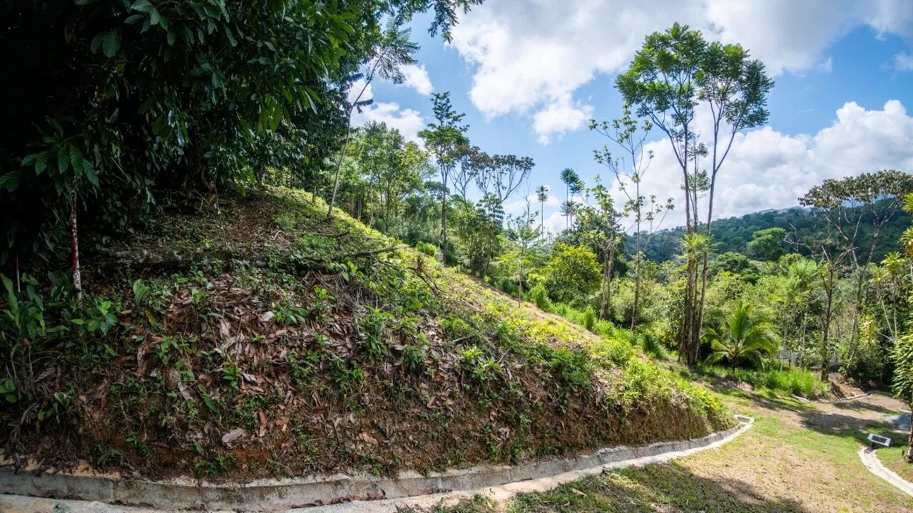 BUILDING PROPERTY WITH PARTIAL OCEAN VIEWS, IN LAS BRISAS LA COLONIA – 4.94 ACRES, photo 5