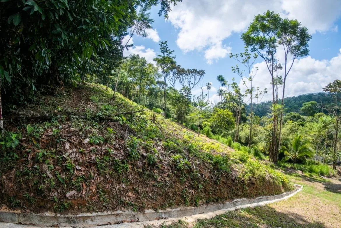 BUILDING PROPERTY WITH PARTIAL OCEAN VIEWS, IN LAS BRISAS LA COLONIA – 4.94 ACRES, photo 6