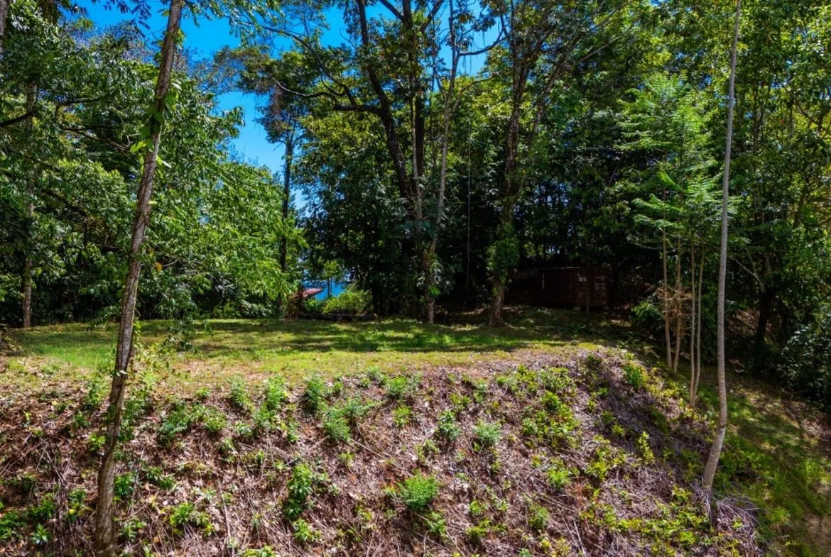 BUILDING PROPERTY WITH PARTIAL OCEAN VIEWS, IN LAS BRISAS LA COLONIA – 4.94 ACRES, photo 10