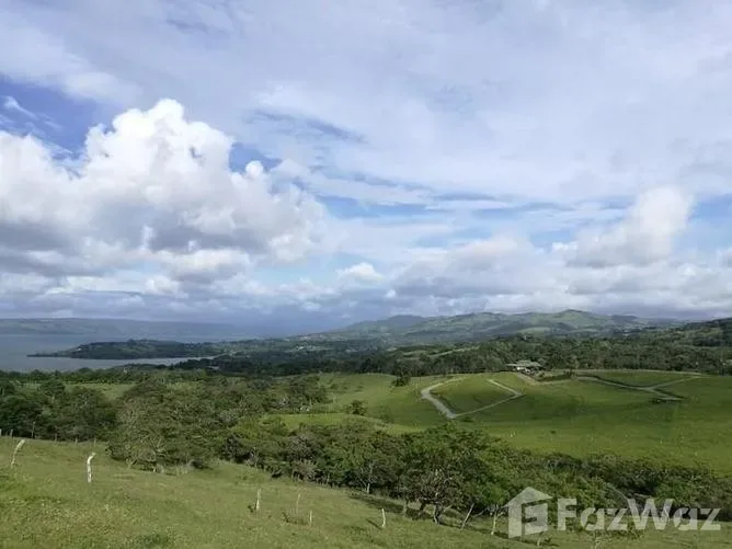 Land for Sale in Tilaran, Guanacaste for $54,000, photo 2