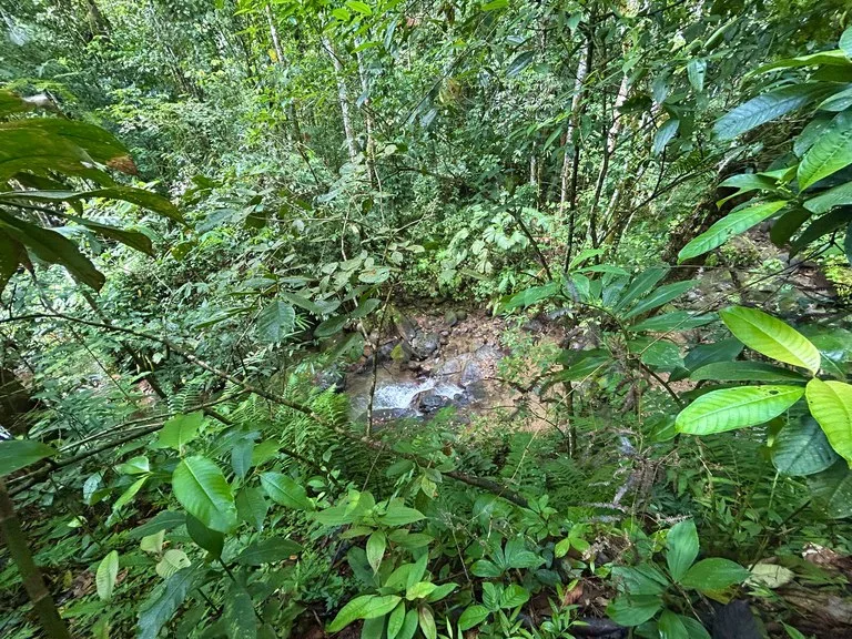 MOUNTAIN BUILDING PROPERTY WITH A CREEK, IN SAN JOSECITO – 5.9 ACRES, photo 26