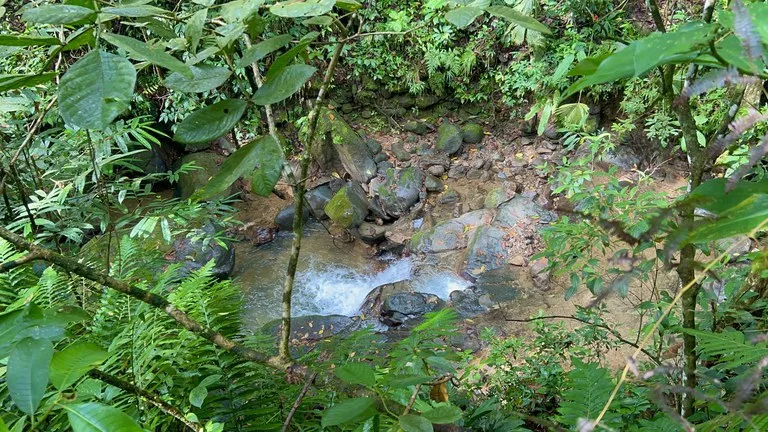 MOUNTAIN BUILDING PROPERTY WITH A CREEK, IN SAN JOSECITO – 5.9 ACRES, photo 27