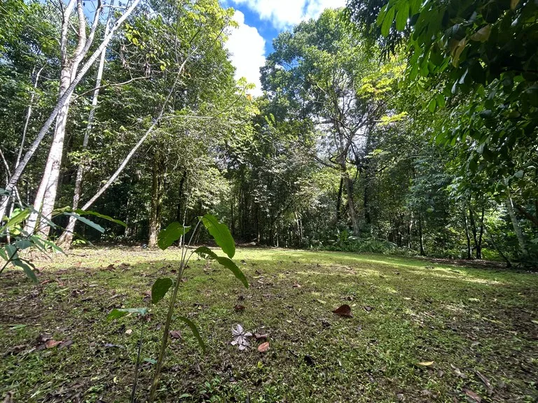 MOUNTAIN BUILDING PROPERTY WITH A CREEK, IN SAN JOSECITO – 5.9 ACRES, photo 29
