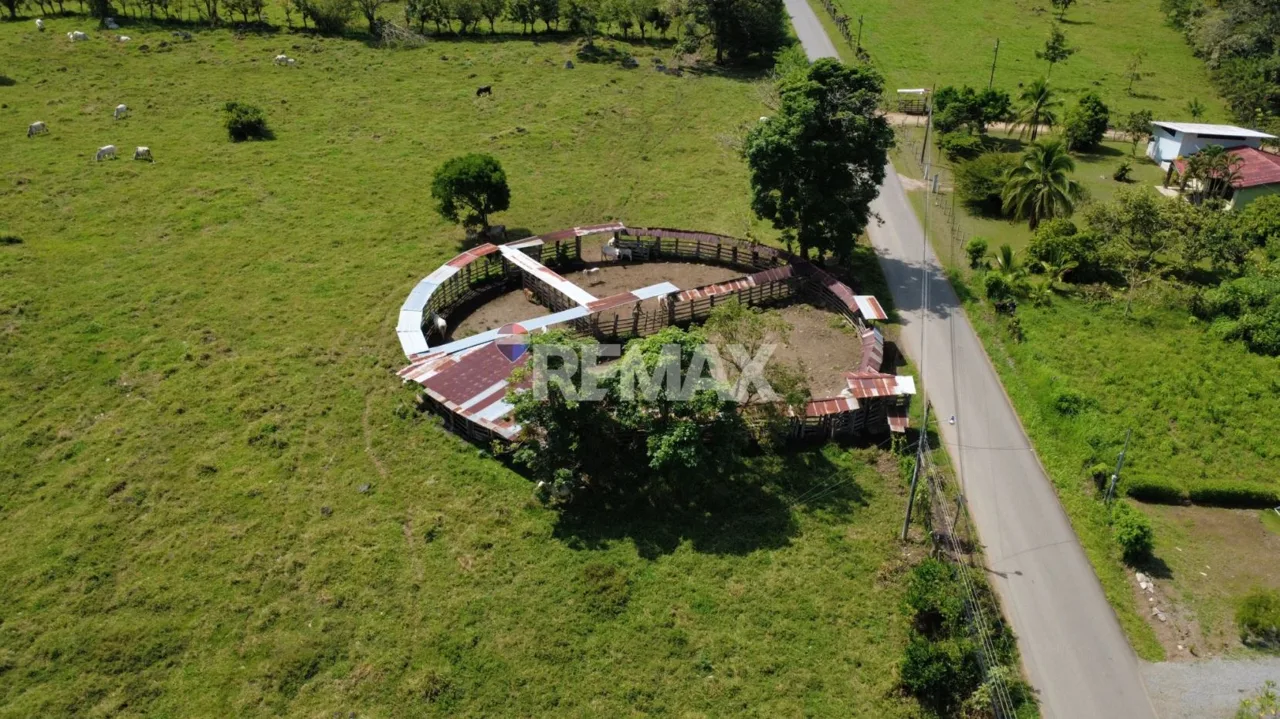 Flat Cattle Farm for sale in Perez Zeledon, photo 6