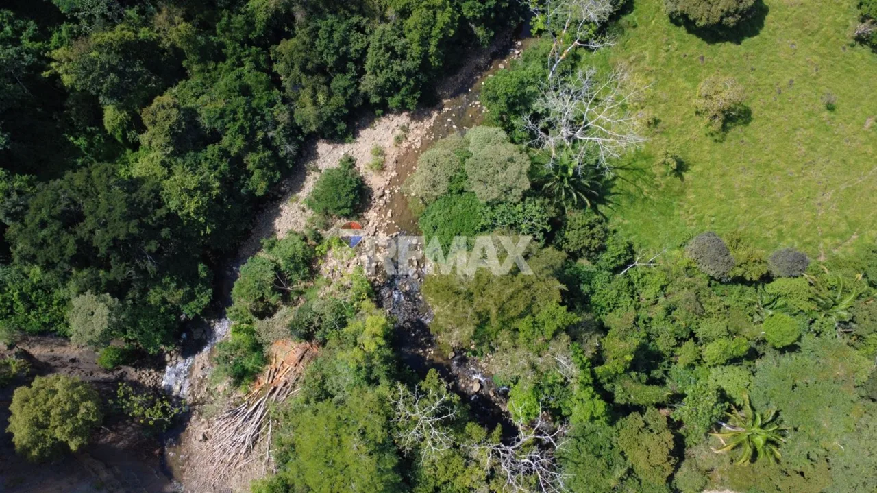 Flat Cattle Farm for sale in Perez Zeledon, photo 8