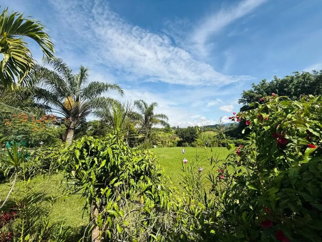 Property for sale - Las Quebradas, San Francisco, San Isidro, Heredia, photo 2