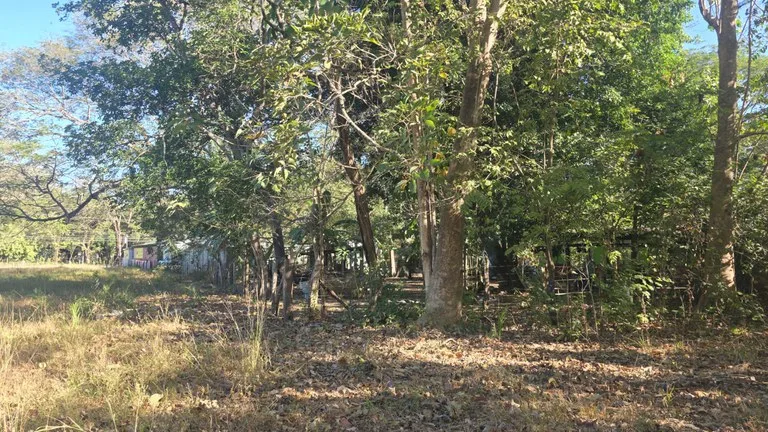 3 Commercial lots for sale in Artola with 70 m of public road frontage, photo 2