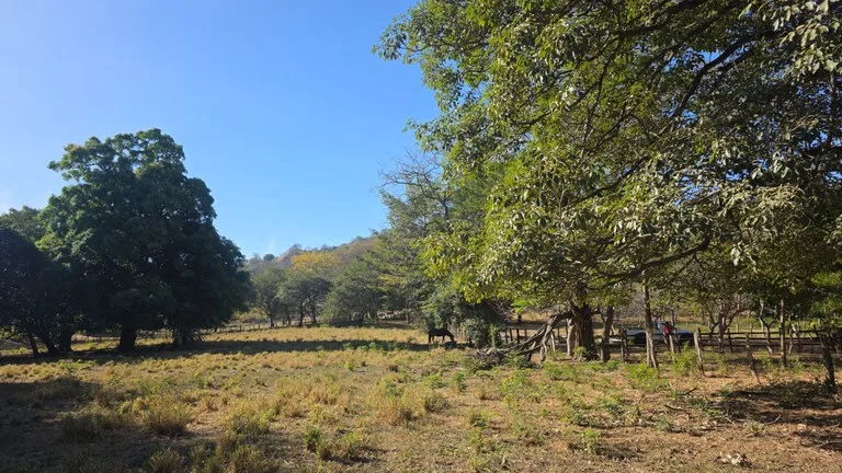 3 Commercial lots for sale in Artola with 70 m of public road frontage, photo 11