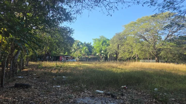 3 Commercial lots for sale in Artola with 70 m of public road frontage, photo 12