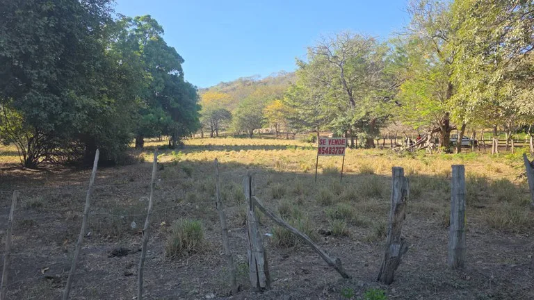 3 Commercial lots for sale in Artola with 70 m of public road frontage, photo 8