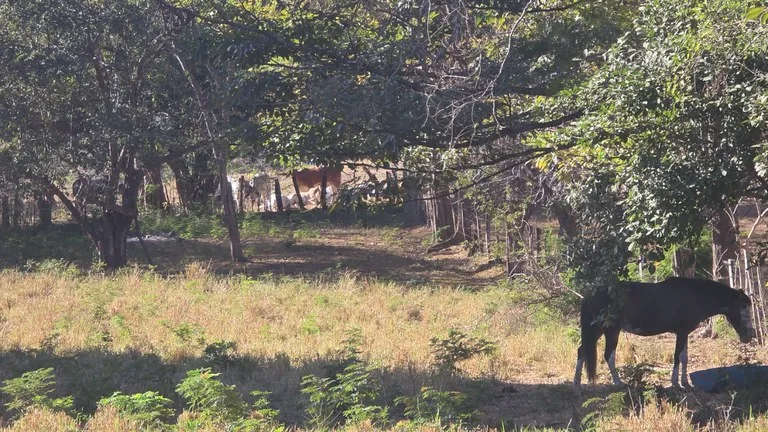 3 Commercial lots for sale in Artola with 70 m of public road frontage, photo 9