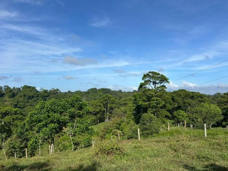 Lote de 16Ha con río, cabinas y alto potencial turístico en Sarapiquí 26-910 GS - Venta en Sarapiquí