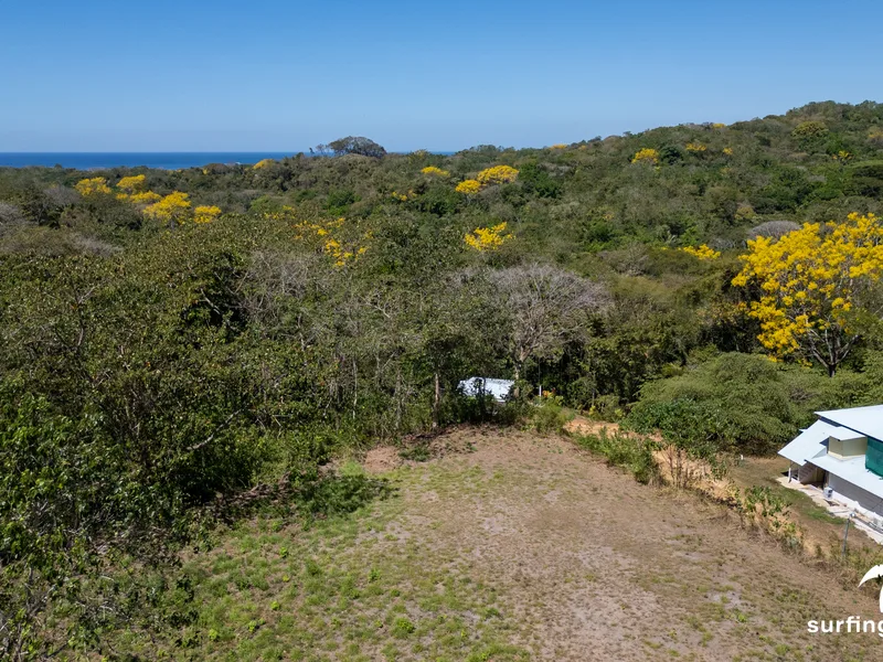 Land For Sale in Nosara, photo 3