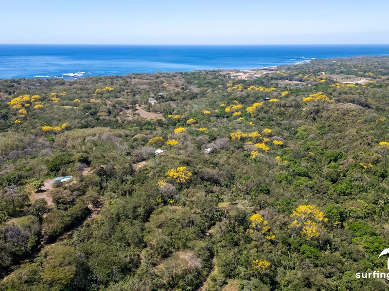 Land For Sale in Nosara, photo 4