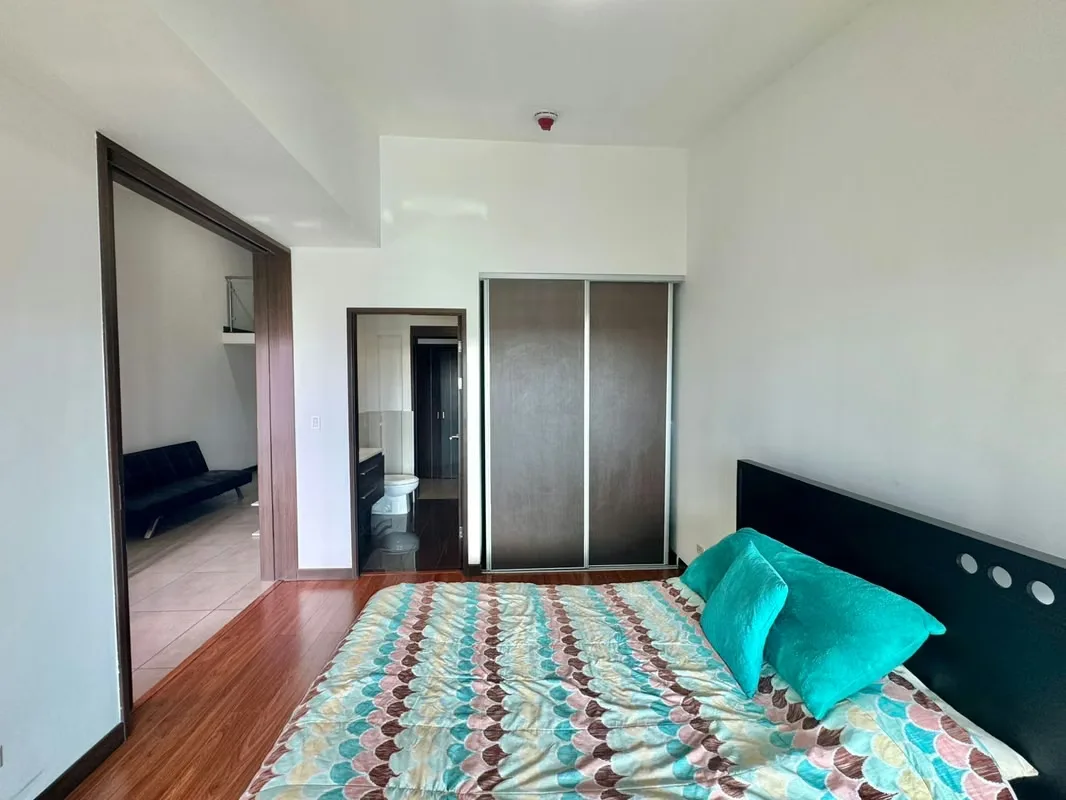 Apartment furnished loft type in Barrio Dent, photo 7