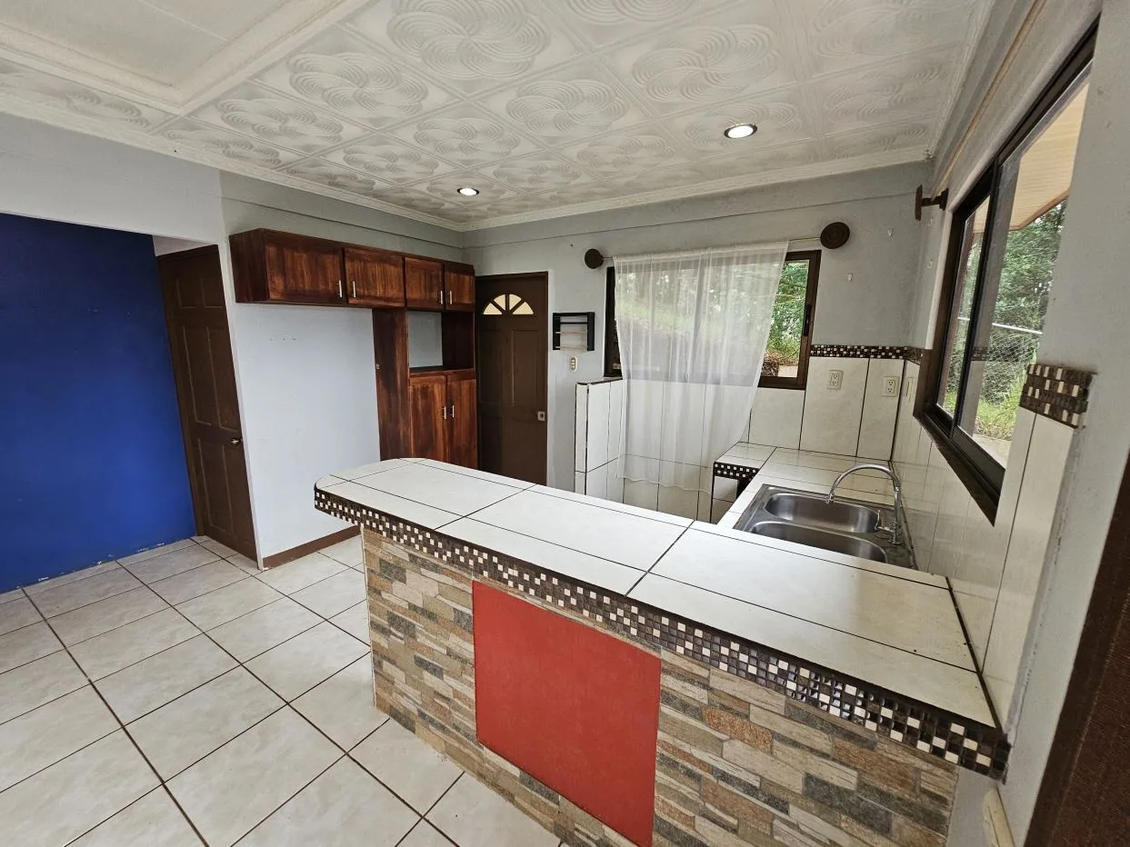 Small House For Sale In the Charming Villa Nueva, Perez Zeledon, photo 11