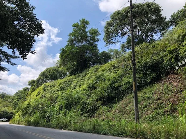 6.5 ACRES – Space To Grow, Build & Thrive, Close To The Beach & Commercial Potential Road Frontage!!!!!: Mountain and Countryside Development Parcel For Sale in Platanillo de Dominical, photo 13