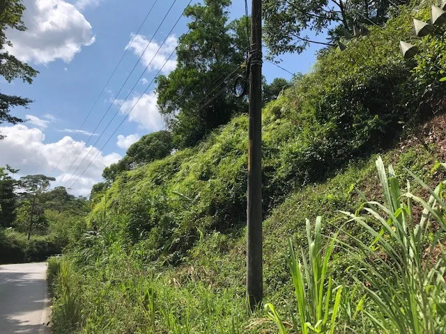 6.5 ACRES – Space To Grow, Build & Thrive, Close To The Beach & Commercial Potential Road Frontage!!!!!: Mountain and Countryside Development Parcel For Sale in Platanillo de Dominical, photo 14