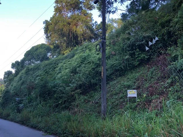 6.5 ACRES – Space To Grow, Build & Thrive, Close To The Beach & Commercial Potential Road Frontage!!!!!: Mountain and Countryside Development Parcel For Sale in Platanillo de Dominical, photo 15