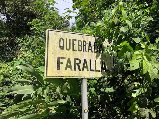 6.5 ACRES – Space To Grow, Build & Thrive, Close To The Beach & Commercial Potential Road Frontage!!!!!: Mountain and Countryside Development Parcel For Sale in Platanillo de Dominical, photo 3