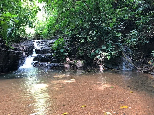 6.5 ACRES – Space To Grow, Build & Thrive, Close To The Beach & Commercial Potential Road Frontage!!!!!: Mountain and Countryside Development Parcel For Sale in Platanillo de Dominical, photo 4