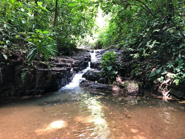 6.5 ACRES – Space To Grow, Build & Thrive, Close To The Beach & Commercial Potential Road Frontage!!!!!: Mountain and Countryside Development Parcel For Sale in Platanillo de Dominical, photo 5
