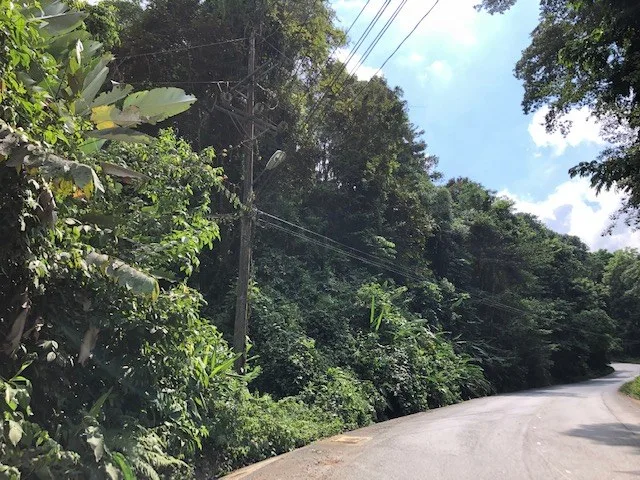 6.5 ACRES – Space To Grow, Build & Thrive, Close To The Beach & Commercial Potential Road Frontage!!!!!: Mountain and Countryside Development Parcel For Sale in Platanillo de Dominical, photo 7