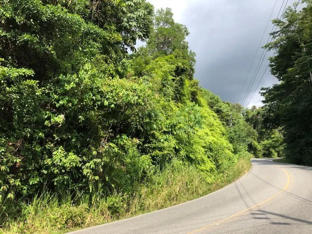 6.5 ACRES – Space To Grow, Build & Thrive, Close To The Beach & Commercial Potential Road Frontage!!!!!: Mountain and Countryside Development Parcel For Sale in Platanillo de Dominical, photo 10