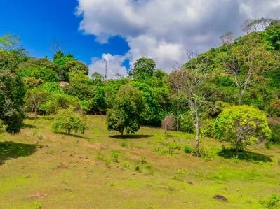 Lot for Sale in Ojochal with Mountain Views  – Prime Location in Costa Rica, photo 3