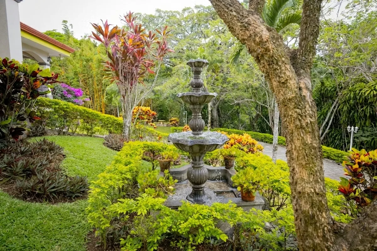 House for Sale in Ciudad Colón, Costa Rica (2,119 m²), photo 2