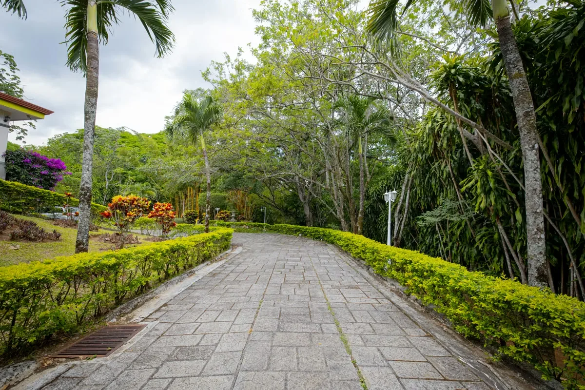 House for Sale in Ciudad Colón, Costa Rica (2,119 m²), photo 3