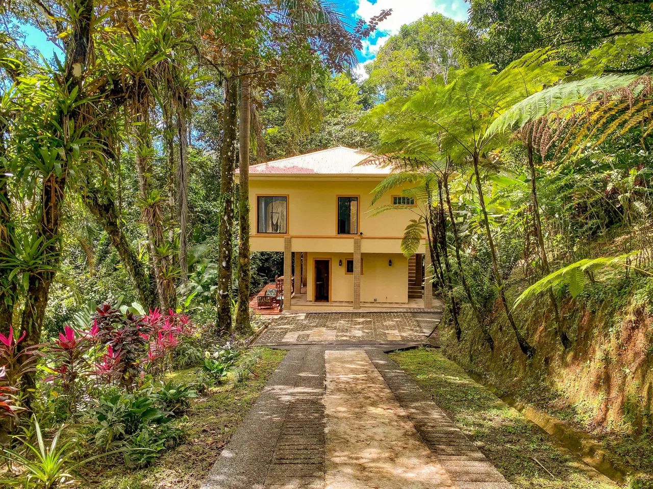 PROPERTY WITH TWO FLOOR AND THREE BEDROOM WITH JUNGLE VIEWS, IN OJOCHAL – 3.5 ACRES, photo 5