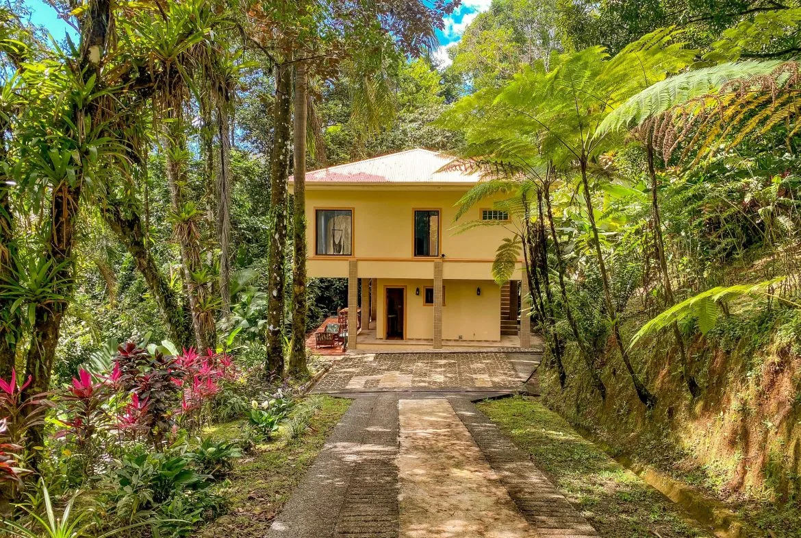 PROPERTY WITH TWO FLOOR AND THREE BEDROOM WITH JUNGLE VIEWS, IN OJOCHAL – 3.5 ACRES, photo 6