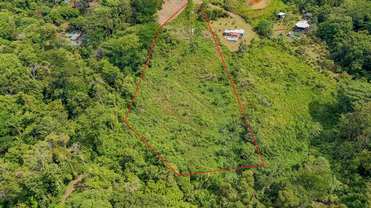 JUNGLE PROPERTY IN OJOCHAL – 4.1 ACRES