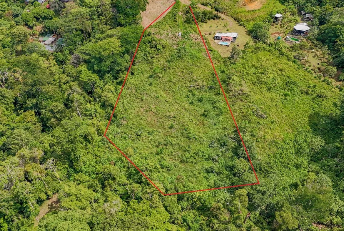 JUNGLE PROPERTY IN OJOCHAL – 4.1 ACRES, photo 2