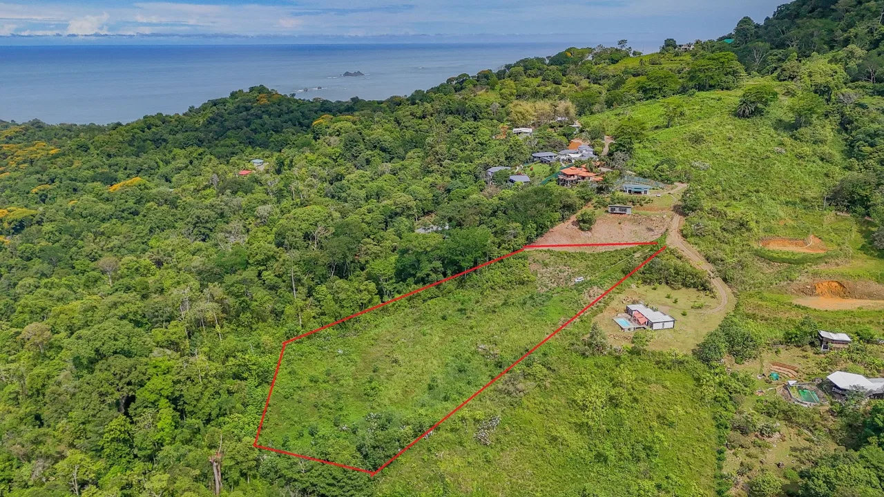 JUNGLE PROPERTY IN OJOCHAL – 4.1 ACRES, photo 11