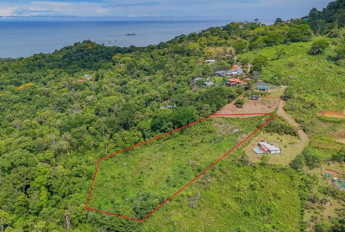 JUNGLE PROPERTY IN OJOCHAL – 4.1 ACRES, photo 12