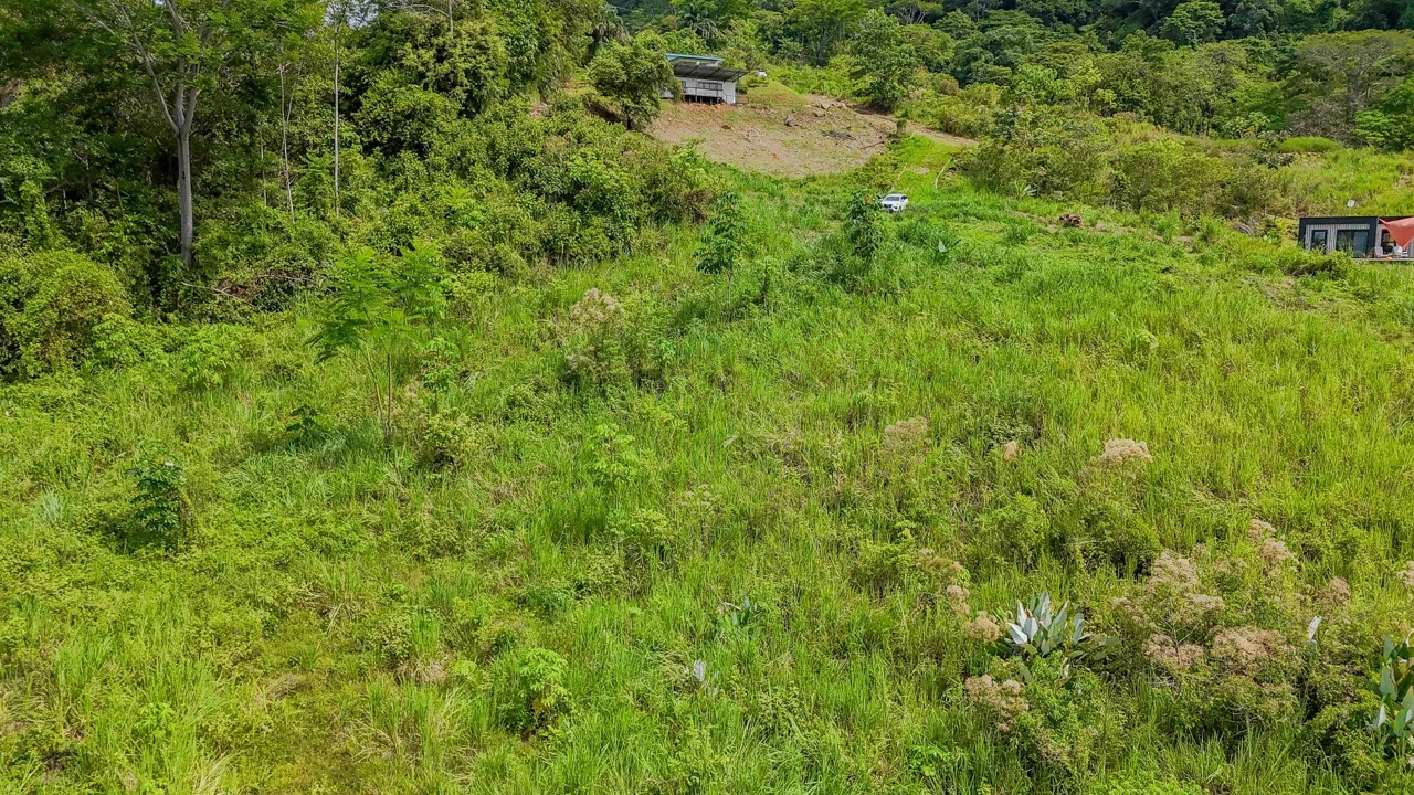 JUNGLE PROPERTY IN OJOCHAL – 4.1 ACRES, photo 13